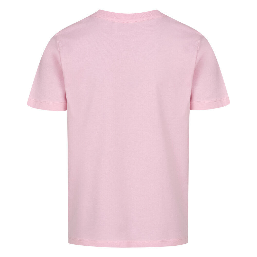 Image for color: pink